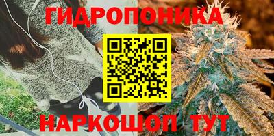 крисы Коломна